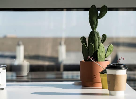 SimplifyComplex-Home cactus and coffee on a desk