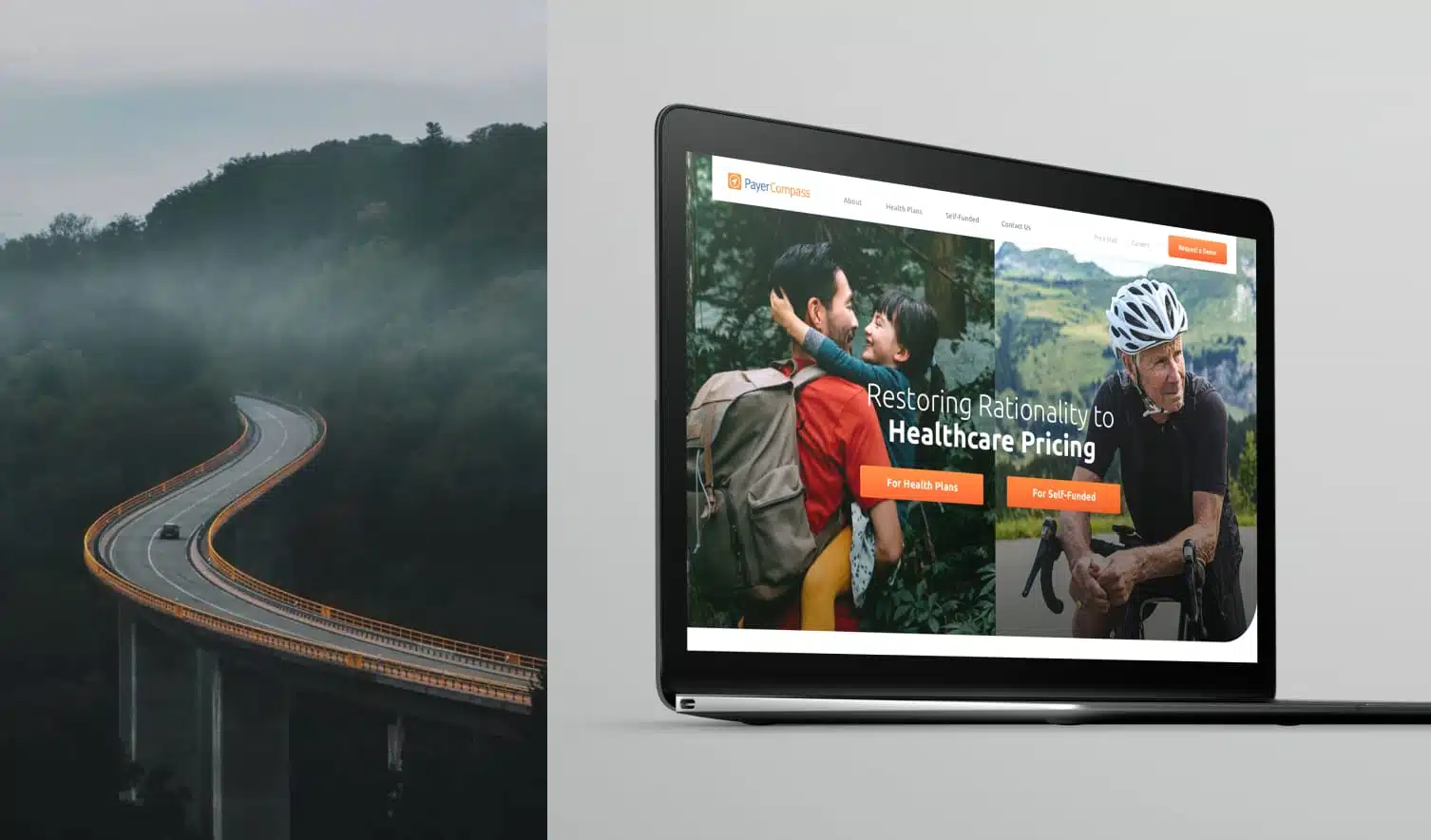 Payer Compass Tegan Digital